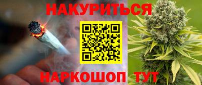 спиды Моздок