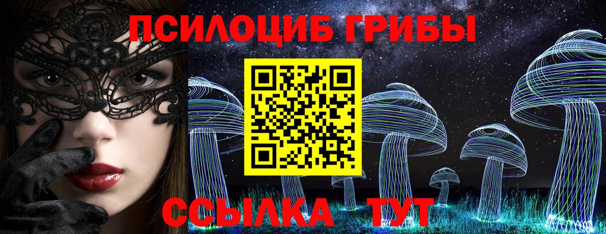 Псилоцибиновые грибы мицелий Чехов