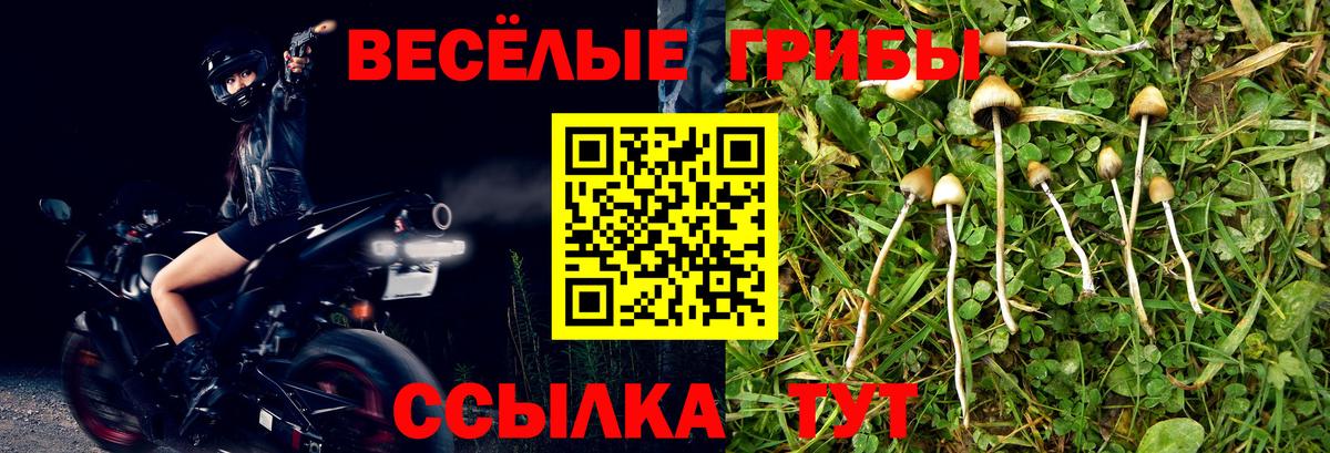Конопля Чехов