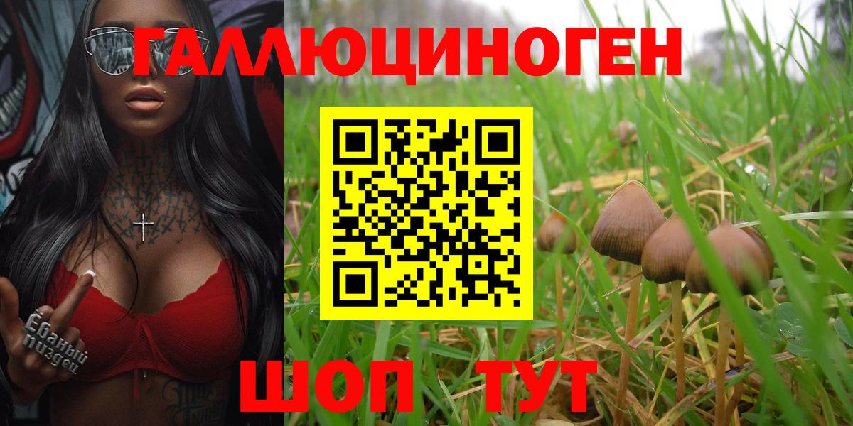 Галлюциногенные грибы Psilocybine cubensis  Вход с VPN  Чехов 